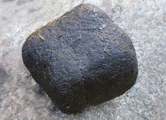 Wombat - Cube Feces