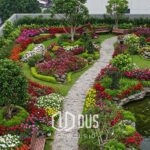 Kebun Urban di Dak: Solusi Cerdas untuk Pangan Segar dan Ruang Hijau yang Indah