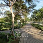 Forest Bathing di Jantung Urban: Menemukan Ketenangan di Greenbelt PIK2 dan Danau Sekitarnya