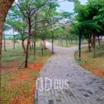 PIK2: Oasis Kebugaran Urban, Destinasi Sempurna untuk Jogging dan Berjalan Kaki Aktif